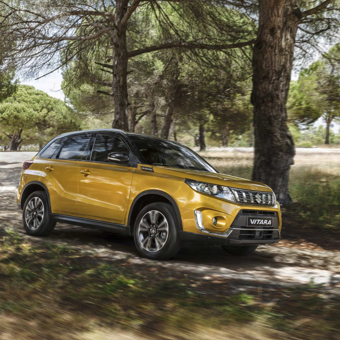 vitara 4wd